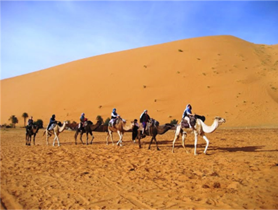 Desertridingcamel_2021