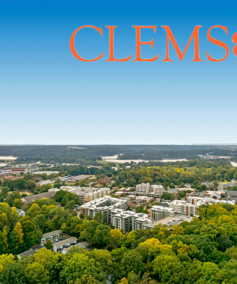 Clemson Skyline