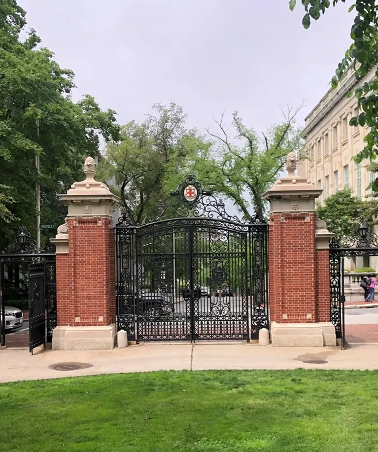 Photo Jun 13 2023 11 10 29 Am