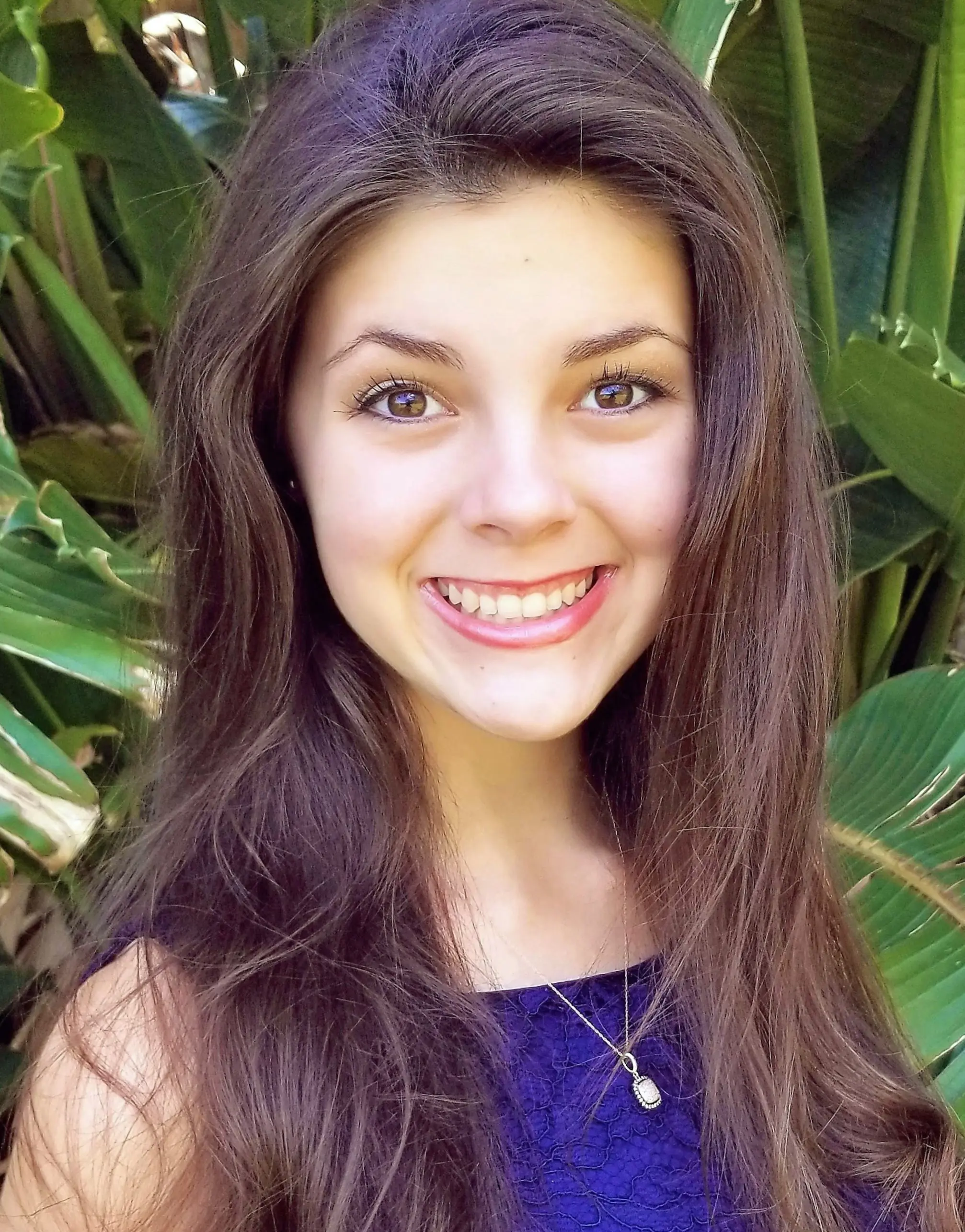 Avalonjadetheisen_2018