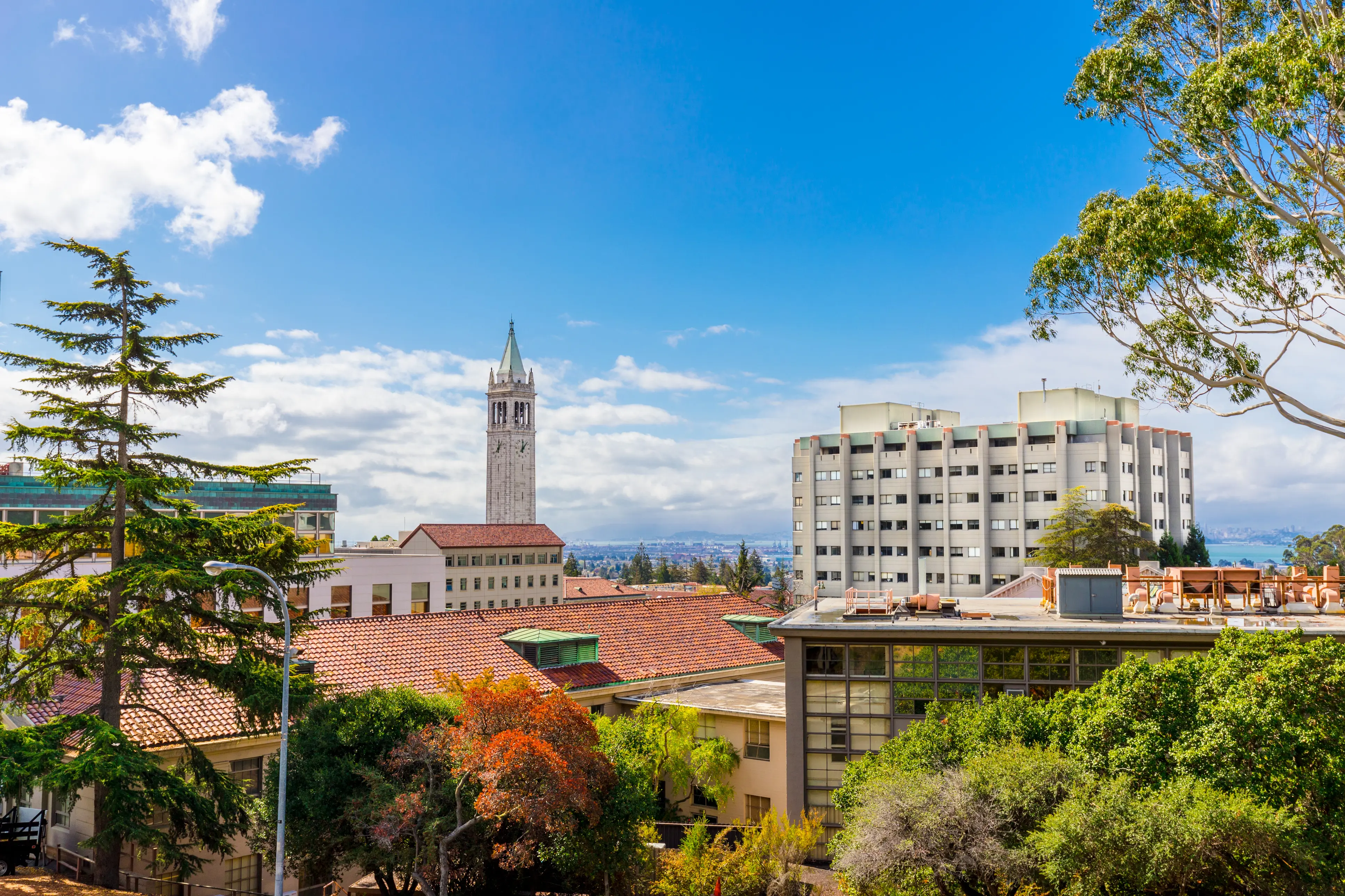 UCBerkeleyview