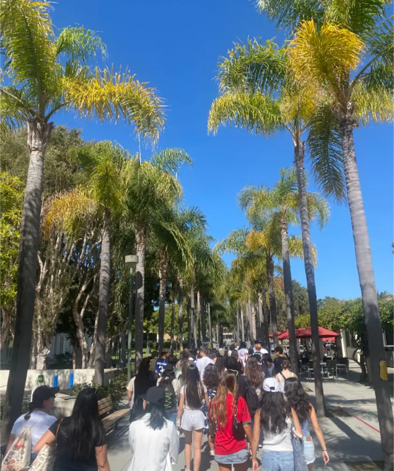 Photo Jul 09 2025, 9 45 55 AM