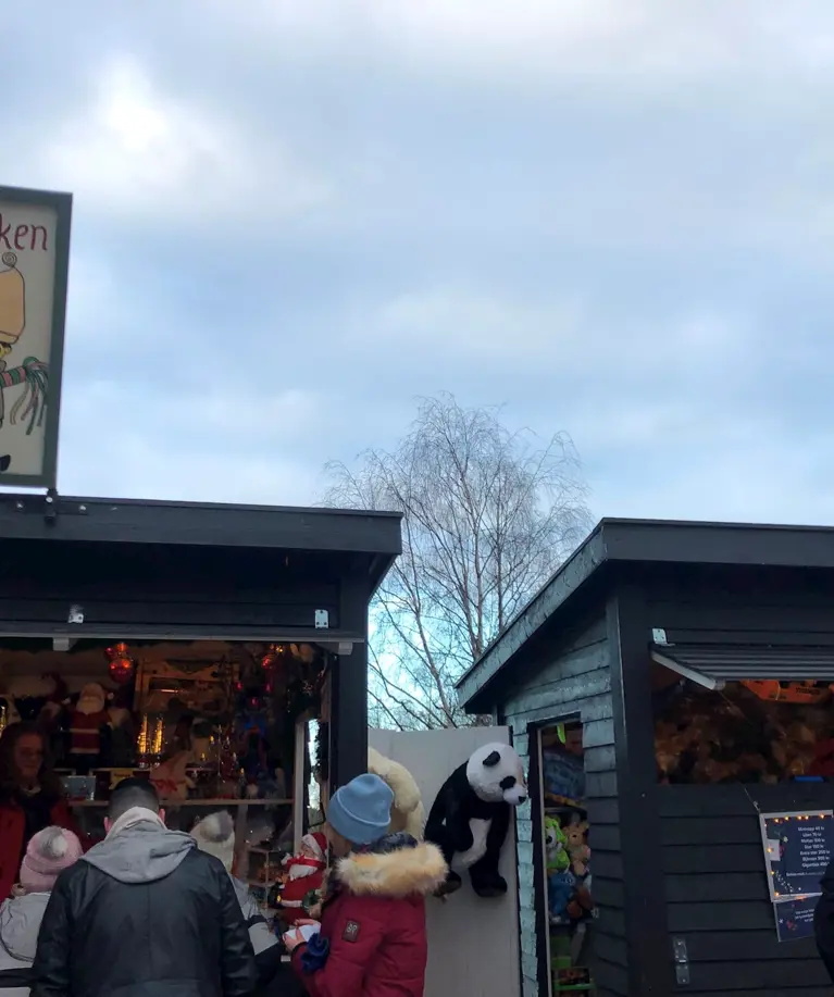 Photo Dec 04 2022 12 38 27 Pm