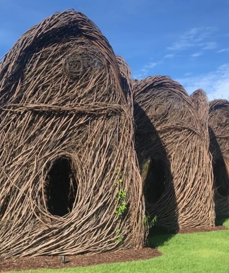 Photo Aug 27 2022 9 26 32 Am